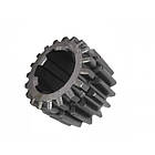 Шестерня 4010.37.155 головного валу ведуча Z=19,коробки трактора Т-25Ф,Т-25ФМ,Т-2511,ХТЗ 3510