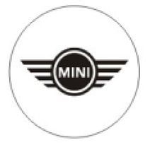 Захисні ковпачки на ніпеля MINI (Міні) 4 шт Білий фон Сріблясті, фото 2