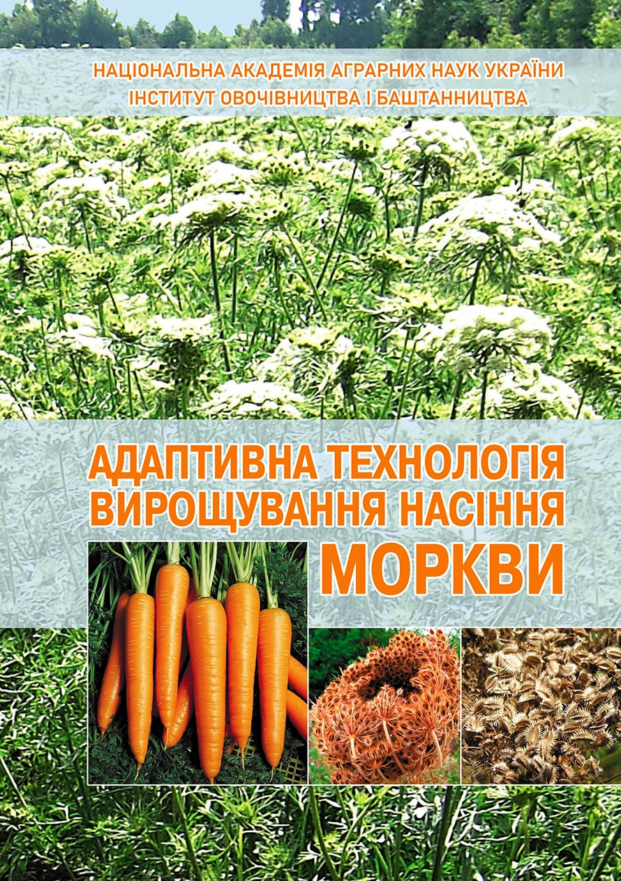 Адаптивна технологія вирощування насіння моркви