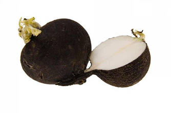 Редакція Лекар чорна 2 г Agromaksi