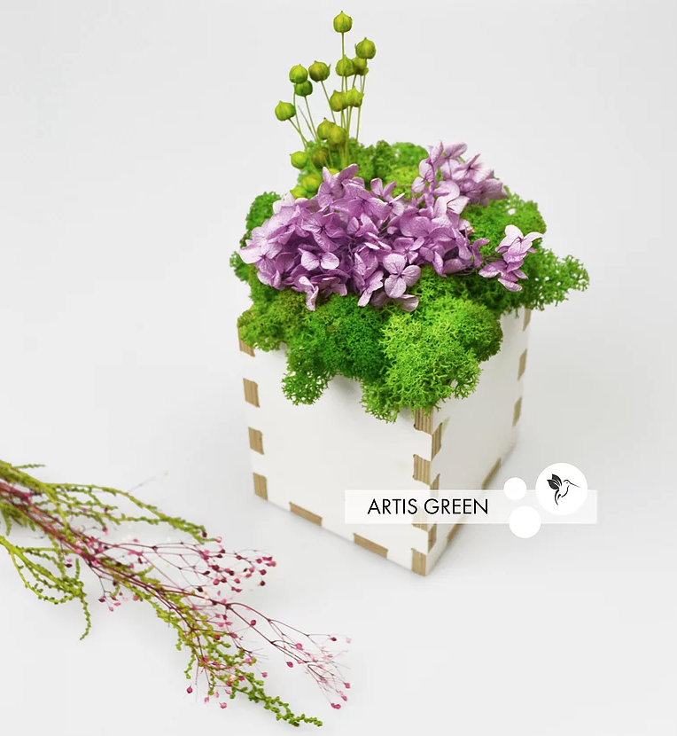 White Wood. Ламінована фанера з мохом і гортензією, фото 1