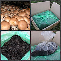Грибная коробка Королевского Коричневого шампиньона Готовый набор для выращивания грибов Семейный 30х30см.