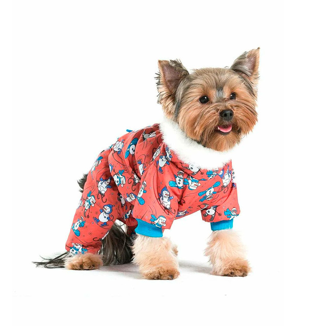 How To Use одежда для собак To Desire