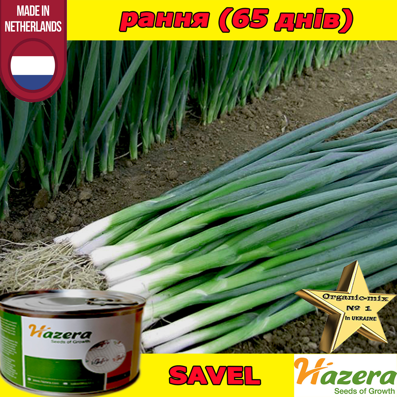 Насіння, цибуля на зелень (на перо) Савел/Savel, ТМ Hazera, 50 000 насіння