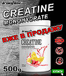 Креатин Ironflex Creatine 500g (різні смаки), фото 4
