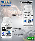 Трибулус IronFlex Tribooster Pro 2000mg 90tab, фото 3