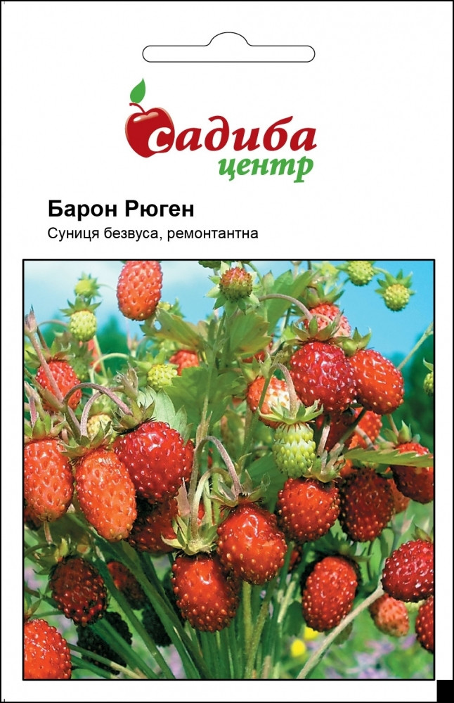 Суниця Барон Рюген 0.2 гр Садиба Центр, фото 1