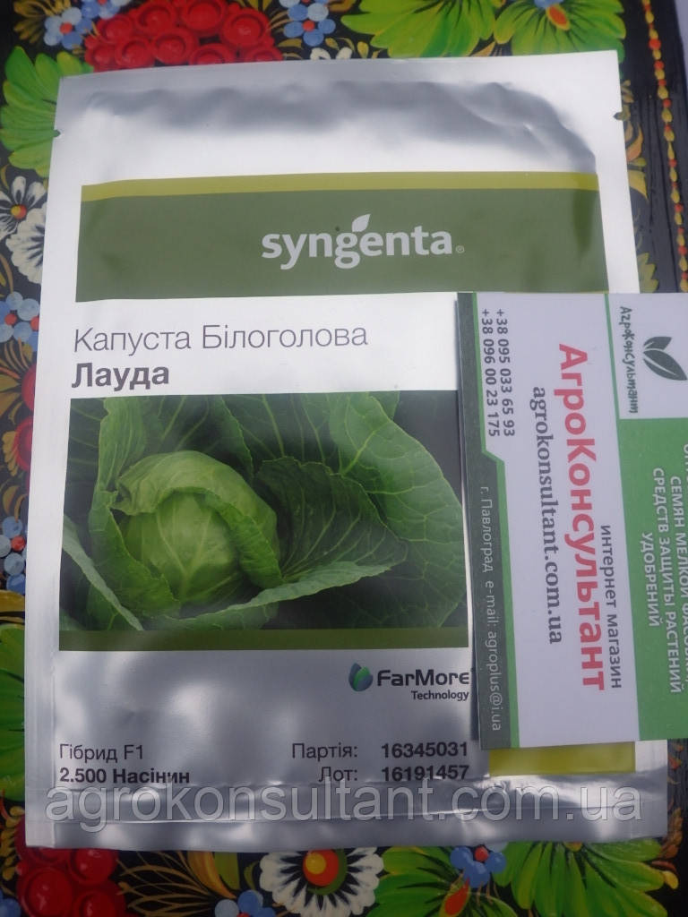 Насіння капусти ЛАУДА F1 / LAUDA F1 (Syngenta), 2 500 насінин — ультрарання (42-45 днів), білокачанна капуста