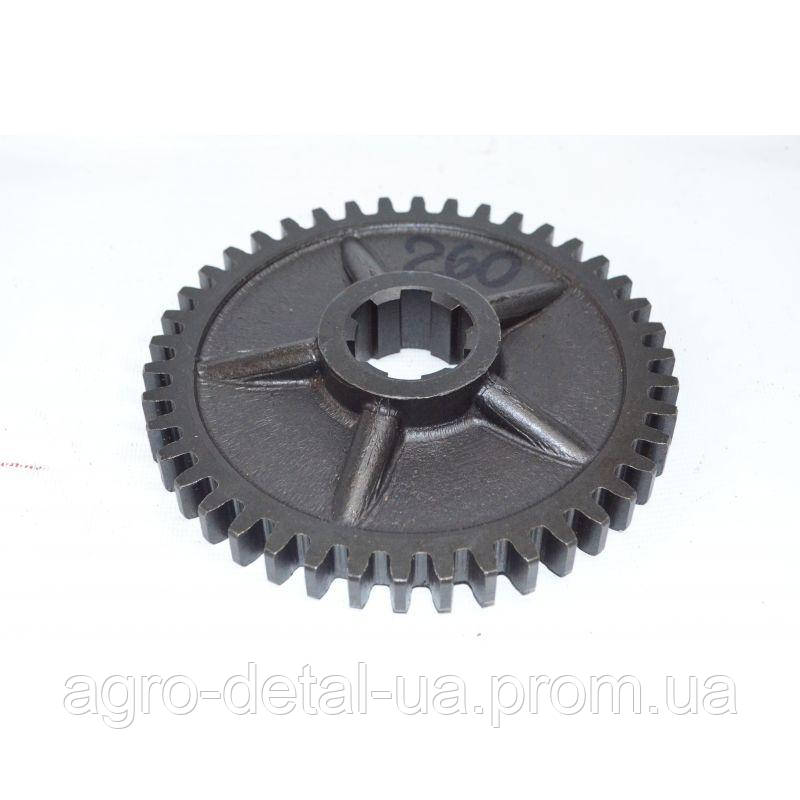 Шестерня А25.37.260 ведуча коробки передач трактора Т 25,Т 25А, фото 1
