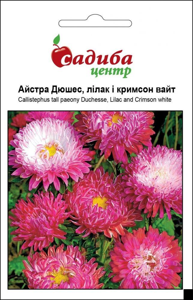 Дюшес лілак і кримсон вайт насіння айстри (Hem Zaden) 0.2 г