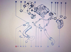 Renault (Original) 7701066088 — Ущільнювальне кільце правого патрубка інтеркулера на Рено Трафік 2, Віваро А, фото 3