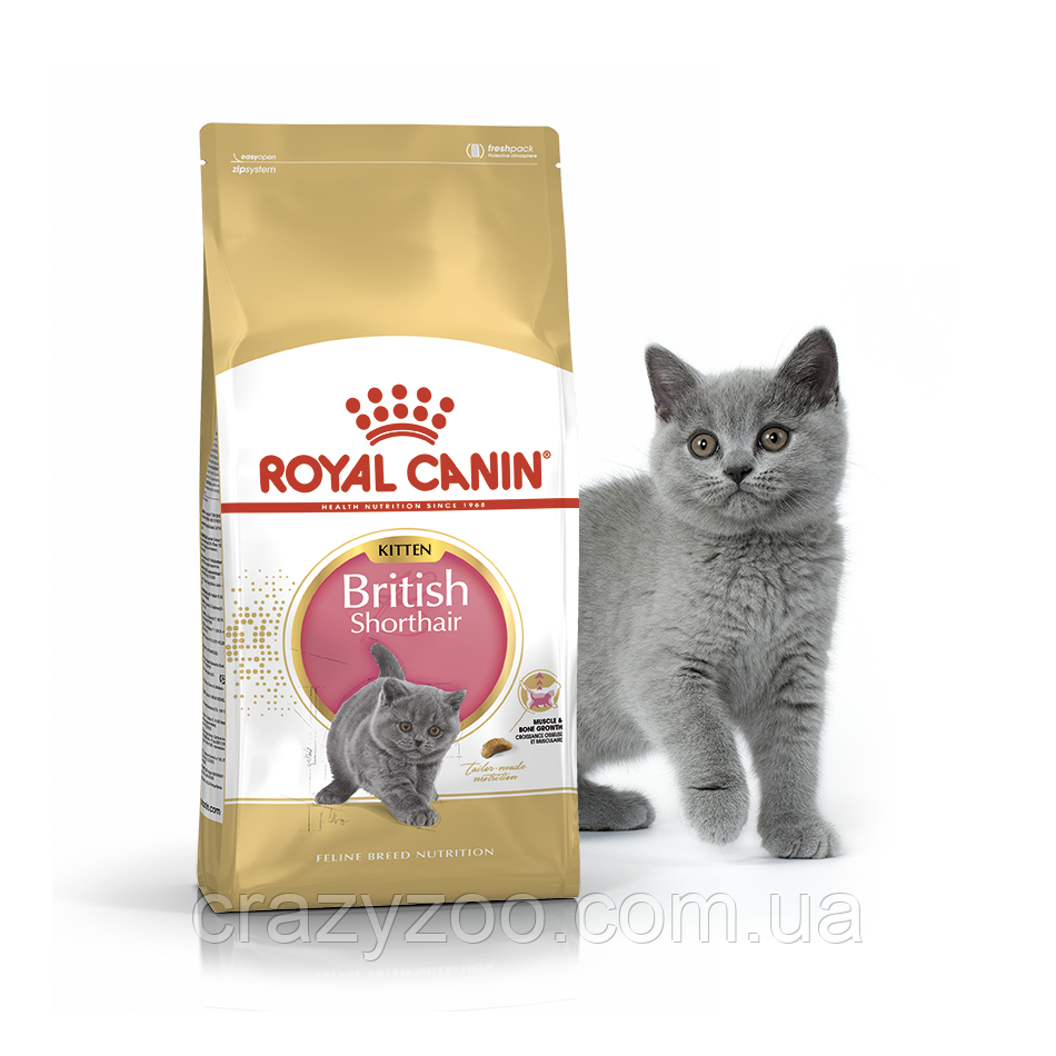 Сухий корм для британських короткошерстих котят до 12 місяців Royal Canin British Shorthair Kitten 2 кг 2566020