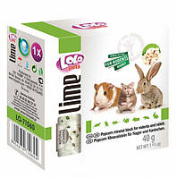 Минеральный камень для грызунов Lolo Pets попкорн 40 гр LO-71060