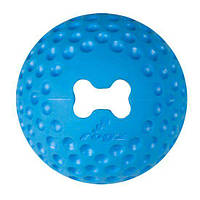 Игрушка для собак Rogz GUMZ мяч синий М 3542406