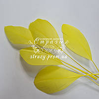Перья - антенки 15-20см цвет Yellow, 1шт