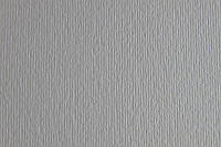 Бумага для дизайна B1 Fabriano Elle Erre 70x100см 220г/м2 серый перламутровый perla две текстуры