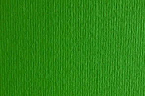 Папір для дизайну А3 Fabriano Elle Erre 29.7х42см №11 verde 220г/м2 зелена дві текстури 8001348169