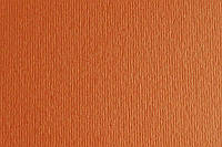 Бумага для дизайна A4 Fabriano Elle Erre 21х29,7см 220г/м2 оранжевый aragosta две текстуры (4823064981605)