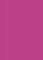 Папір для дизайну В2 Folia Tintedpaper 50х70см №21 темно-рожева 130г/м, без текстури 4001868067217