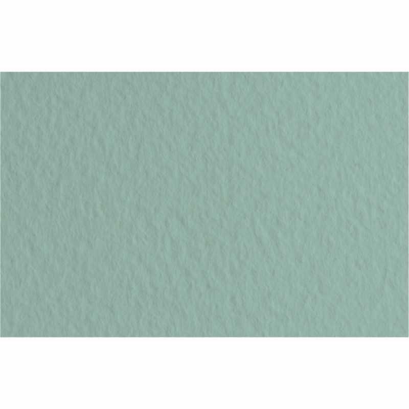 Папір для пастелі A4 Fabriano Tiziano 21x29.7см №13 salvia 160г/м2 сіро-зелена середнє зерно 80013