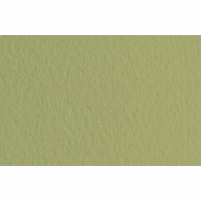 Папір для пастелі A3 Fabriano Tiziano 29.7х42см №14 muschio 160г/м2 оливкова середнє зерно 8001348