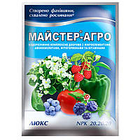 Добриво Майстер-агро ЛЮКС NPK 20/20/20 100 г, Кішонський