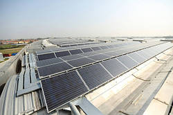 5 фактов о защите окружающей среды брендом Casa Rinaldi