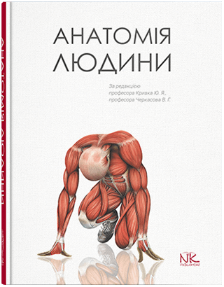 Книга "Анатомія людини" Кривко Ю.Я., Черкасов В.Г., Кравчук С.Ю. та ін.
