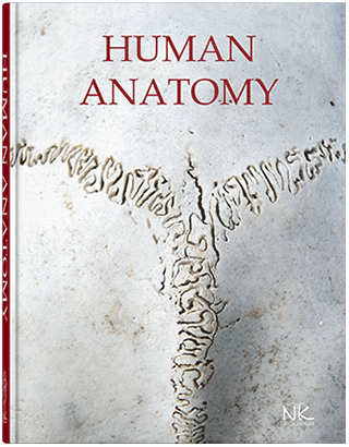 Книга "Human Аnatomy=Анатомія людини" Черкасов В. Р., Кравчук С. Ю., Матешук-Вацеба Л. Р та ін.