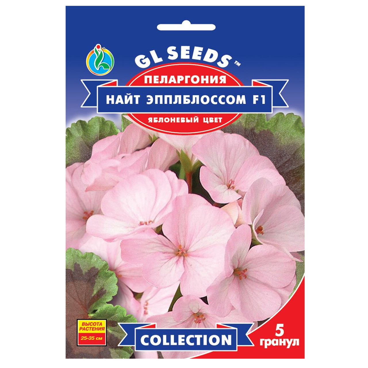 Пеларгонія Найт эпплблосом 5 шт Gl Seeds
