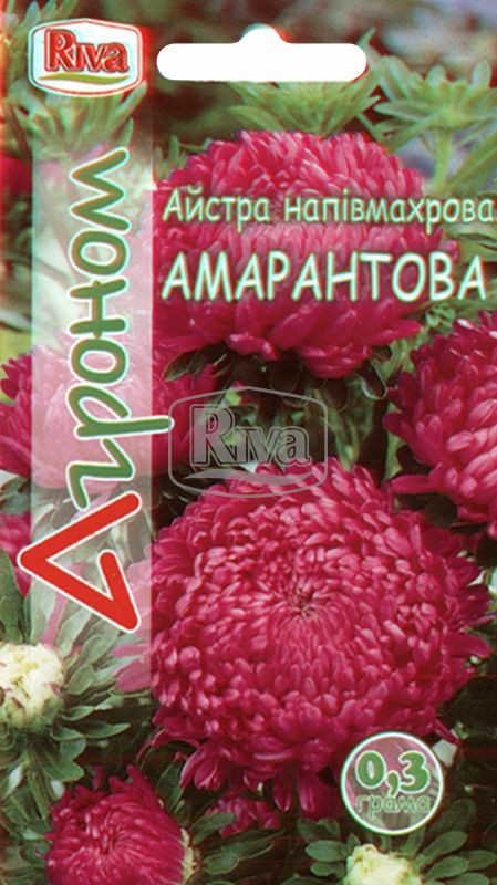 Астра напівмахрова амарантова 0.3 гр Агроном