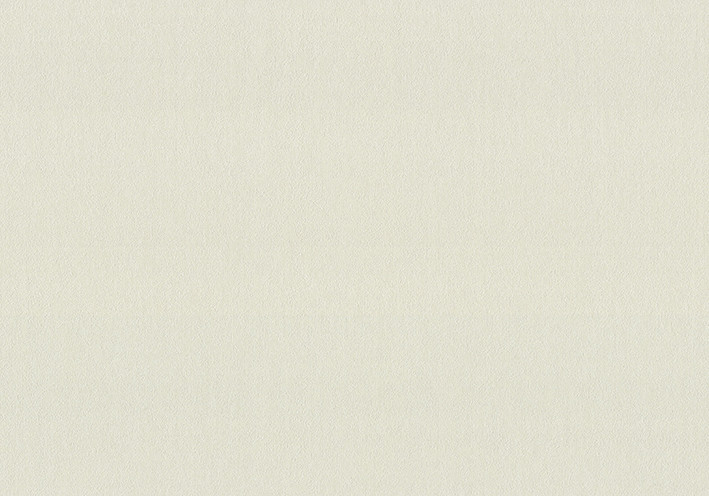 Шпалери Vinil Wallpaper Factory VIP Class ВЕРМОНТ 4-1231 1,06х10,05м