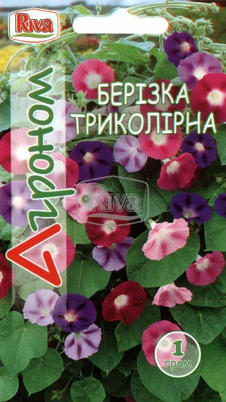 Березка триколірна 1г Агроном