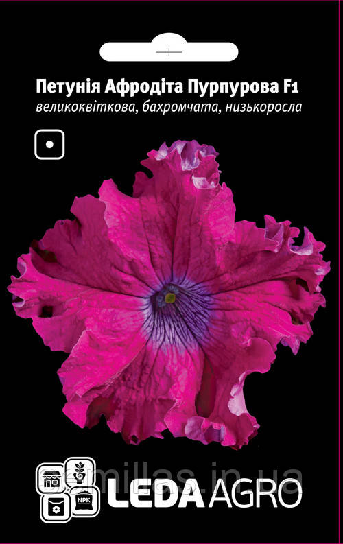 Насіння петунії Афродіта F1, пурпурова, 10 шт. (драж.), бахромчата грандифлора