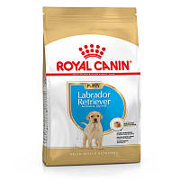 Royal Canin (Роял Канин) Labrador Retriever Puppy - Сухой корм для щенков Лабрадора (12 кг.)