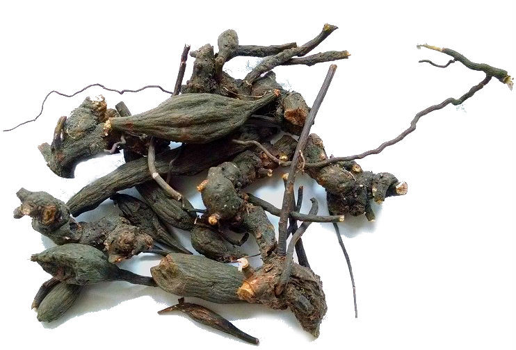 Лабазник в'язолістий корінь 100 грамів (root Filipendula ultamaria)