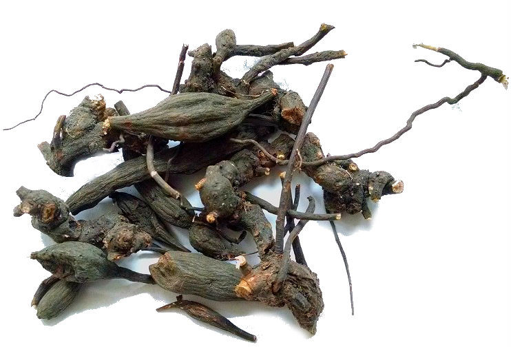 Корень Гадючника 100 грамм (root Filipendula ulmaria) - фото 2 - id-p271244482