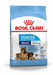 Royal Canin (Роял Канін) Maxi Starter Mother Сухий корм для цуценят і годуючих самок великих порід (4 кг)