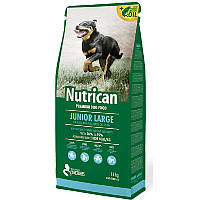 Сухой корм для щенков собак крупных пород Nutrican (Нутрикан) JUNIOR LARGE с курицей 15 кг