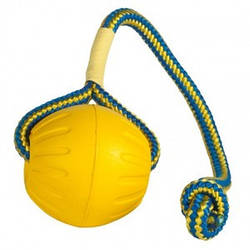М'яч Fetch Ball Swing 'n Fling на мотузці (9 см.)
