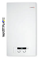 Газовий котел Protherm Рись LYNX 24 BA двоконтурний, димохідний