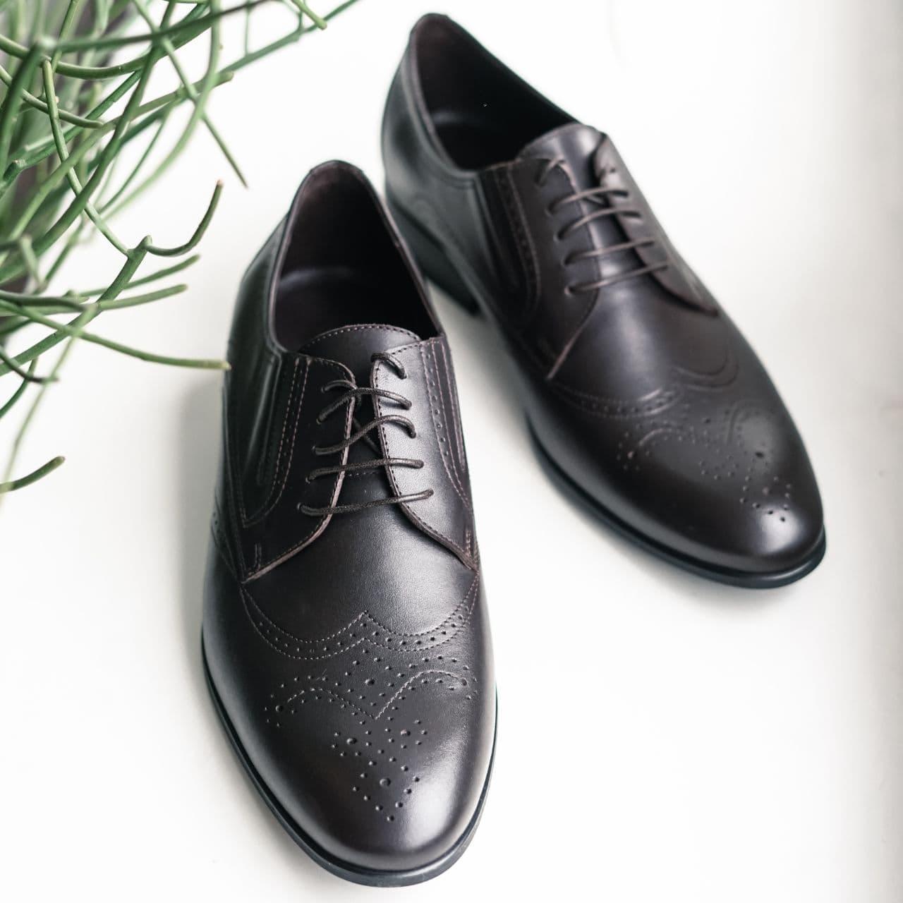 Шкіряні чоловічі туфлі ІКОС 3.1 коричневі, фото 1