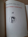 Добриня Микитич та Альоша Попович. Ю. І. Смирнов, В. Г. Смоліцкая. , 1974 рік, фото 3