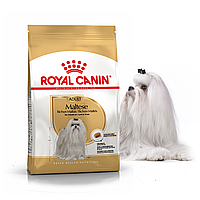 Сухой корм для взрослых собак породы мальтийская болонка Royal Canin MALTESE ADULT 500 г