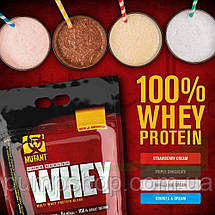 Сироватковий протеїн Mutant Whey 4540 г, фото 4