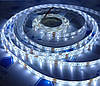 Світлодіодна стрічка (5 метрів) 12V smd2835 ІР65 6500К біла 60led герметична, фото 3