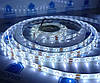Світлодіодна стрічка (5 метрів) 12V smd2835 ІР65 6500К біла 60led герметична, фото 5