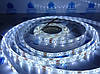 Світлодіодна стрічка (5 метрів) 12V smd2835 ІР65 6500К біла 60led герметична, фото 7