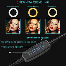 Кільцева LED лампа 26 см 12W + Штатив 2.1 м, студійне світло, фото 4