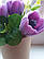 Букет тюльпанів, фото 3